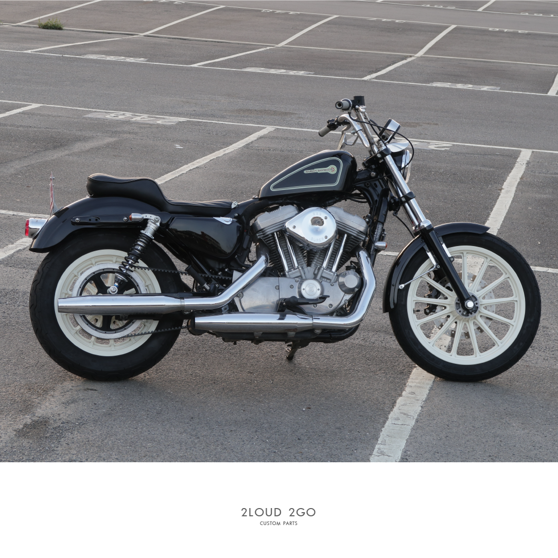 2LOUD CUSTOM HARLEY-DAVIDSON SPORTSTER HARLEY REAR SOIL REMOVAL PACKAGE